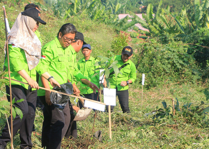 KERJA BERSAMA: Para Kabid DLH, turut menanam pohon. Rangkaian HLHS Tahun 2024 Tingkat Kota Cirebon, berjalan lancar. Hal ini, atas kerja bersama tim DLH dan mitra. 