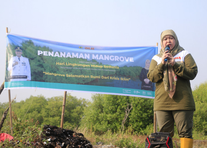 UNTUK KEHIDUPAN: Kepala DLH Yuni Darti mengatakan, menanam mangrove untuk menjaga keberlanjutan kehidupan. Mangrove menghasilkan oksigen dalam jumlah besar.