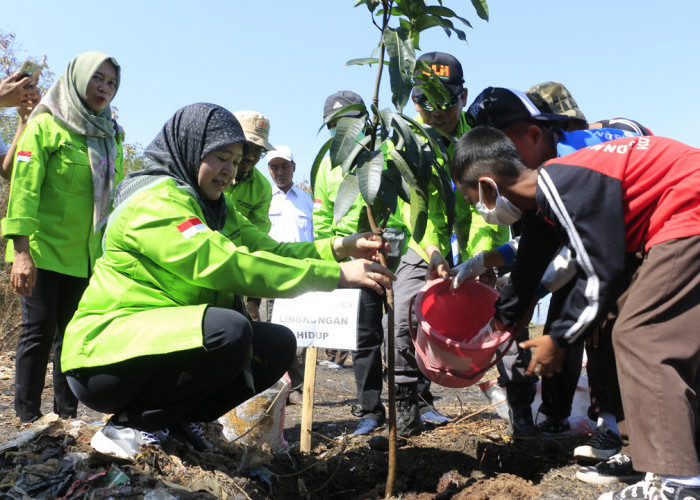 Upaya Optimalisasi RTH Kota Cirebon