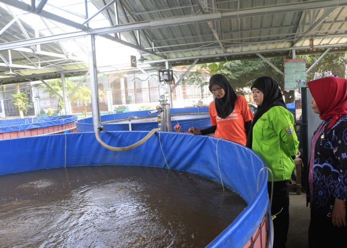 KEMANDIRIAN: Kepala DLH Yuni Darti meninjau budidaya ikan di RW 15 Permata Harjamukti Kelurahan Kalijaga. Hal ini wujud kemandirian ekonomi masyarakat.