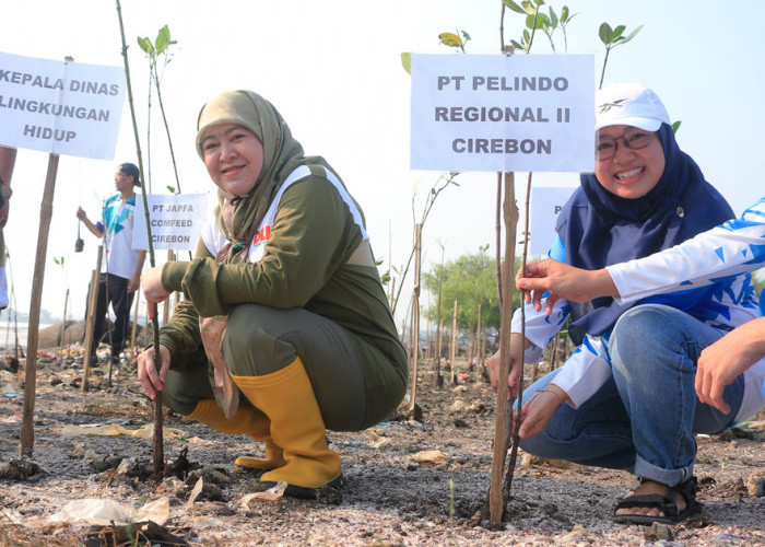 MANGROVE: Kepala DLH Yuni Darti bersama mitra, menanam mangrove di pesisir Kebon Baru. Mangrove menahan abrasi agar struktur tanah tidak semakin tenggelam.