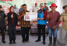 Helat Syukuran, Peternak Sapi Bangga dengan Bupati Nina