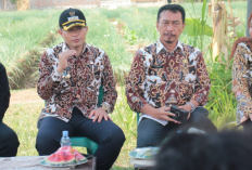 Serap Hasil Panen Petani Melimpah,  Pemkab Cirebon Dirikan BUMD Pangan