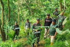 Prajurit TNI Bersama Masyarakat Tanam Pohon di Blok Pasir Kolecer Desa Jamberama