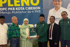 Nama Siti Farida Rosmati Muncul dalam Survei Pilkada, PKB Mengaku Senang