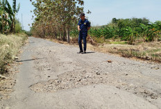 Sering Terjadi Kecelakaan, Pemdes Desak Perbaikan