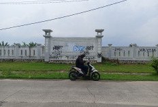 Delapan Tahun Mangkrak, Kondisi Lahan Peruntukkan BLK di Majalengka Tidak Terurus