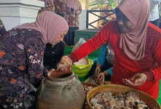 Sebulan Jelang Maulid Nabi, Keraton Kasepuhan Bikin Menu Wajib: Bekasem Ikan