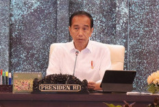 Jokowi: Investasi IKN Tembus Rp56,2 Triliun