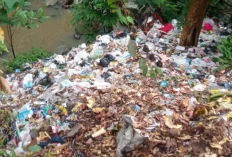 Tumpukan Sampah di Aliran Sungai Cigede, Gema Jabar Hejo Langsung Koordinasi dengan Berbagai Pihak