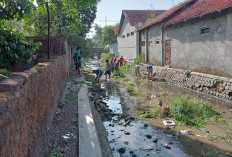 Warga Bersih-bersih Sungai Citangkurak