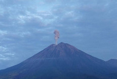 Gunung Semeru Kembali Erupsi 