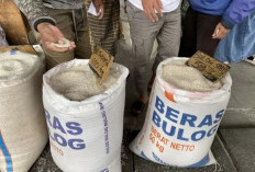 Harga Beras Bulog Naik Rp 1.600 jadi Rp 12.500 Per Kilogram