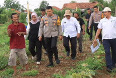 Cek Lahan, Dukung Program Ketahanan Pangan Nasional