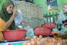 Ahli Gizi : Konsumsi Makanan Mentah Secara Berlebihan Dapat Sebabkan Penyerapan Bakteri