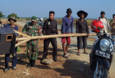 Pasang Rumah Burung Hantu dan Giat Gropyokan Cara Atasi Hama Tikus di Desa Bangodua