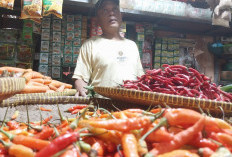 Harga Cabai Rawit Merah Meroket