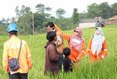 Srikandi PLN Sweeping Layang-layang