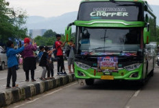 Klakson Telolet, 11 Bus Wisata Ditilang