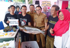 Cegah Stunting, Dorong Sosialisasi Gemar Ikan