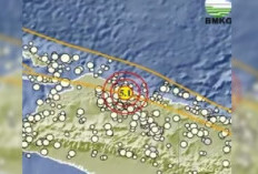 Gempa Bumi 5,1 Magnitudo Guncang Papua, Daerah Yogyakarta Juga, Tidak Berpotensi Tsunami