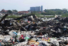 Reklamasi Sampah di Pesisir, Wahana Lingkungan Hidup: Sungguh Mengerikan