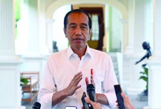 Respons Demonstrasi, Jokowi: Pedemo yang Masih Ditahan Segera Dibebaskan 