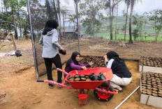 Berdayakan Kelompok Penggerak Pariwisata Pasir Batang Desa Karangsari