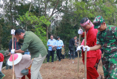 Tingkatkan Produksi Beras, Diskatan Lakukan Gerakan Penanaman Perluasan Areal Tanam