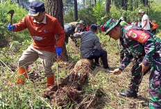 Antisipasi  Terjadinya Kebakaran Hutan,  BPBD Kuningan Laksanakan Program Sekat Bakar