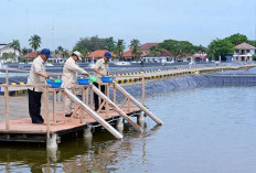 Presiden Tinjau Kawasan BLUPPB Karawang