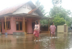 Puluhan Rumah Terendam Banjir