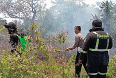 Damkar Padamkan Kebakaran Lahan di Desa Bandorasa Wetan