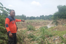 Banjir di Cirebon Timur: Distan Data Lahan Pertanian, BPBD Survei Titik Penyebab Banjir