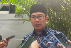 Ridwan Kamil Dapat Tawaran sebagai Menteri
