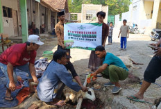 MWC NU Kota Cirebon Korban 10 Ekor Kambing