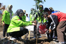 Upaya Optimalisasi RTH Kota Cirebon