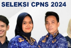 Pendaftaran CPNS 2024 Sudah Ditutup, Inilah Jadwal Tahapan Selanjutnya yang Perlu Diketahui Pelamar