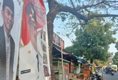 FKKC Tetap Netral, Baliho Kuwu Kedongdong Kidul Makin Ramai