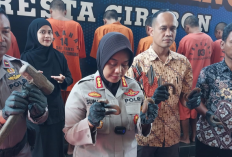 Pria Asal Slangit Nekat Curi 55 Biji Penambat Rel Kereta Api