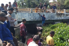 Dipenuhi Eceng Gondok, Saluran Kali Maja Terhambat, Forkopimcam Lakukan Bersih-bersih