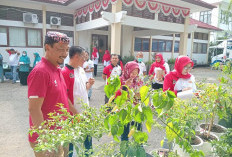 DKPP Edukasi Warga Tanam  Cabai di Pekarangan Rumah