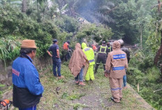 BPBD Kuningan Catat Kejadian Kebencanaan Longsor hingga Rumah Tertimpa Pohon