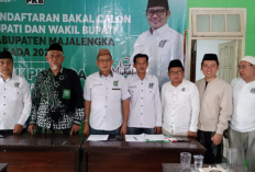 PKB Buka 2 Jalur Pendaftaran Calon Bupati dan Wakil Bupati Majalengka 