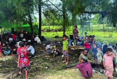 264 Imigran Rohingya Mendarat di Aceh Timur