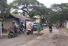 Karena Kendaraan Bertonase Tinggi