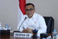 Tenaga Honorer Banyak yang Gagal Jadi PPPK 2024, MenPAN RB Berikan Solusi Berikut