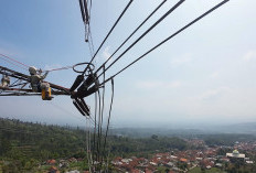 Sambut Hari Kemerdekaan Ri, PLN Pastikan Jaringan Transmisi Back Bone Jawa Andal