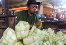 Bahan Baku dari Cilacap, Kulit Ketupa Lebaran di Bandrol Rp15 ribu per Ikat