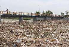 Angkat Tumpukan Sampah di Bendungan Karet Jamblang, Pj Bupati Cirebon Terjun ke Lokasi, Ajak Warga Tak Buang S